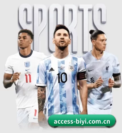 access-biyi.com.cn APP