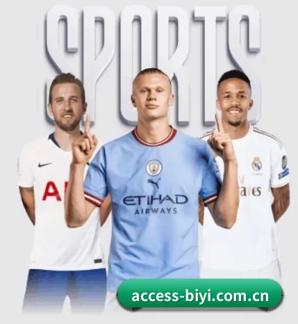 access-biyi.com.cn的方向
